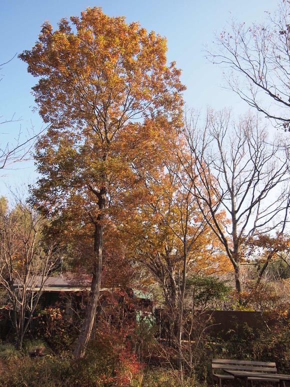 f0200036_1813558.jpg