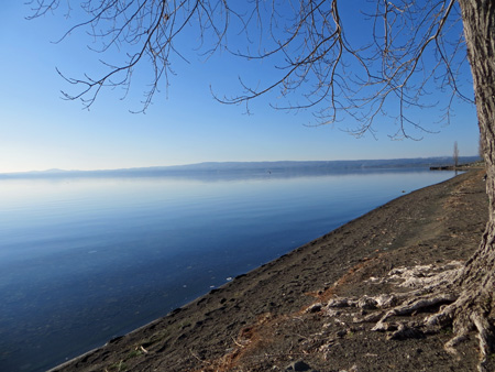 f0234936_2343138.jpg