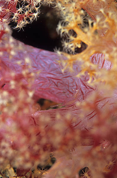 b0042837_2232115.jpg