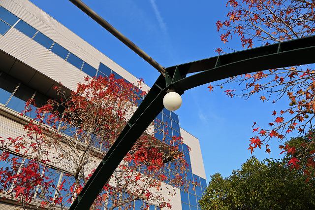 a0242438_20183195.jpg