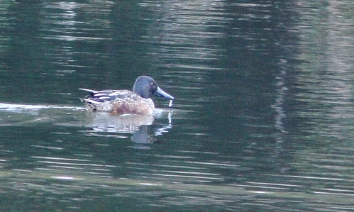 c0172139_0134619.jpg