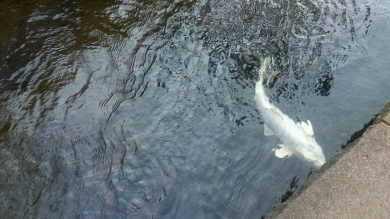c0295742_21481443.jpg