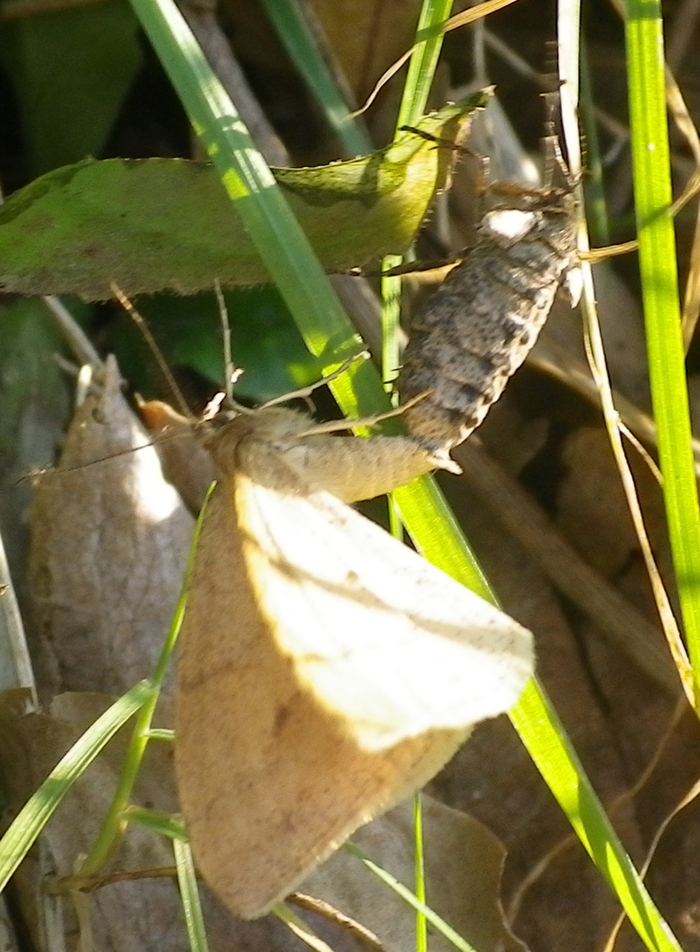 f0000148_2016162.jpg