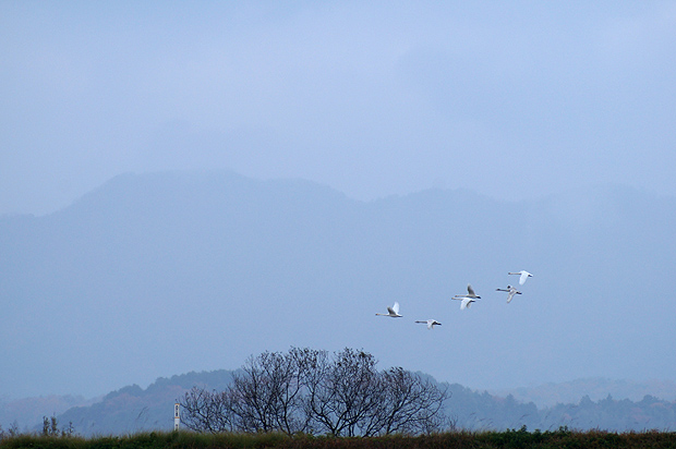f0214649_2014882.jpg