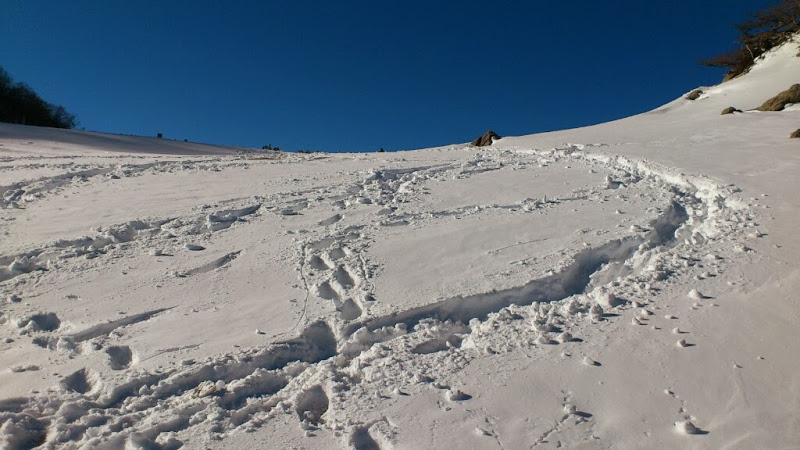 b0148050_13421494.jpg