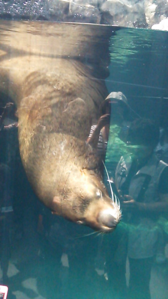 b0051052_10464552.jpg