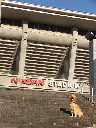 c0097558_115433.jpg
