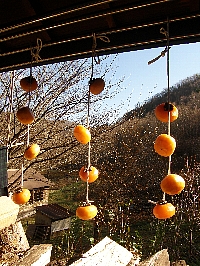 f0035962_10162691.jpg