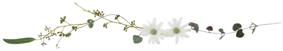 e0272870_23102724.png