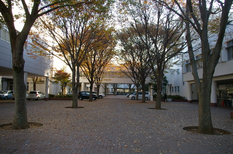 a0111271_17646.jpg