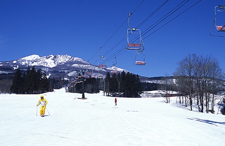 e0004173_16431483.jpg