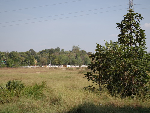 a0002177_1958116.jpg