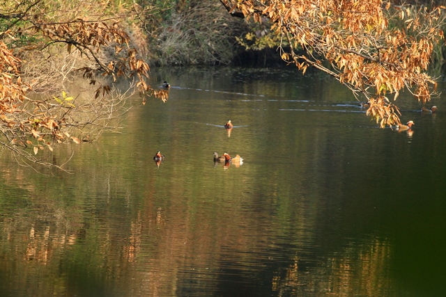 d0126577_2063510.jpg