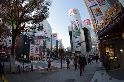 b0056983_11293227.jpg