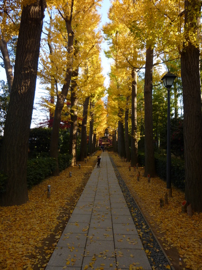 a0257385_17232789.jpg
