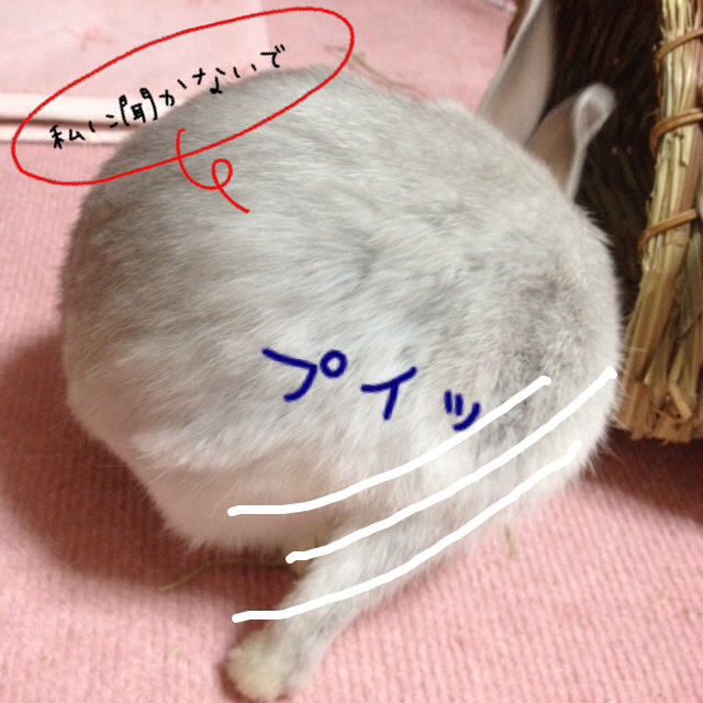 f0306186_11134295.jpg