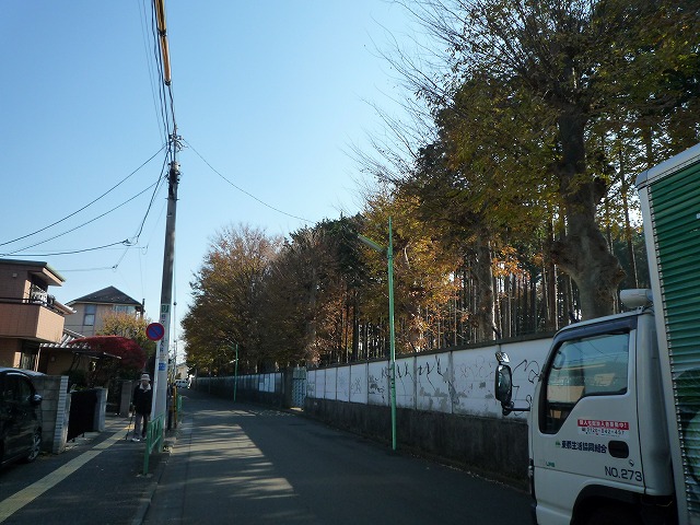 b0287088_17233825.jpg