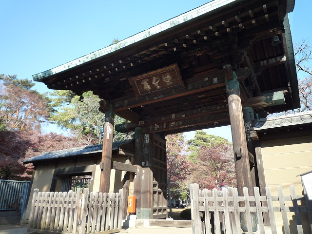 b0287088_17243548.jpg
