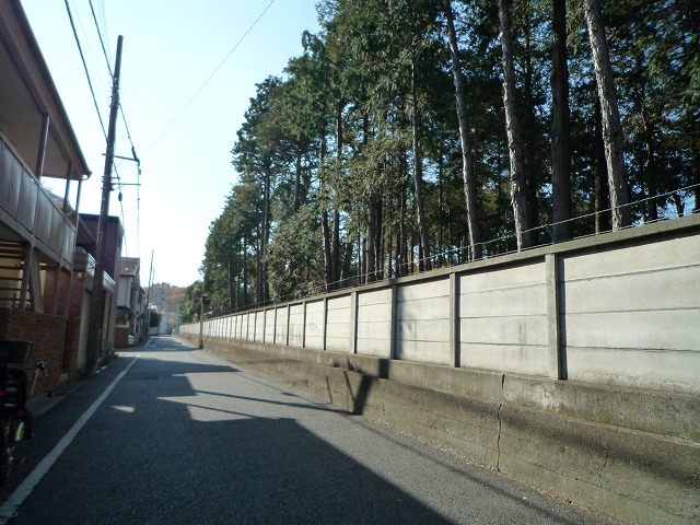 b0287088_1724596.jpg
