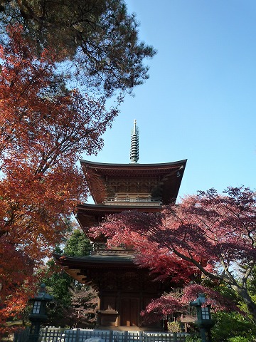 b0287088_17254299.jpg