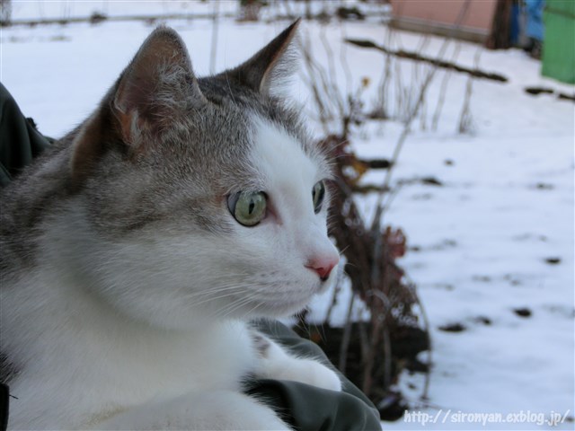 a0159490_13512756.jpg