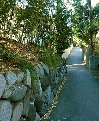 e0143690_22154298.jpg