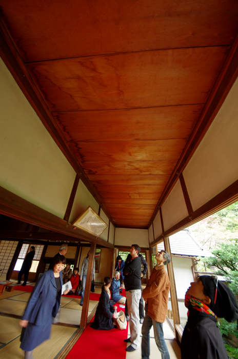 e0079696_8174437.jpg