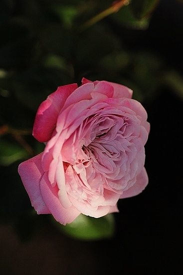 e0209997_1931345.jpg