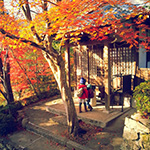 f0047398_16372099.jpg