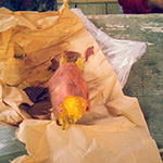 f0047398_16375844.jpg