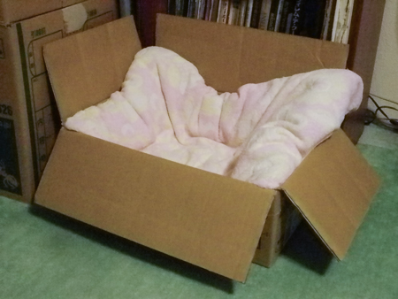 f0239100_021847.jpg
