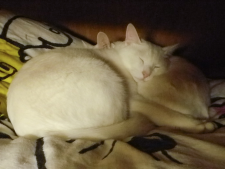 f0239100_0324230.jpg
