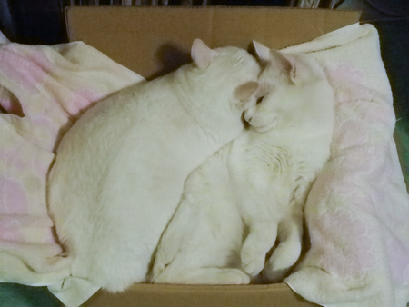 f0239100_063933.jpg