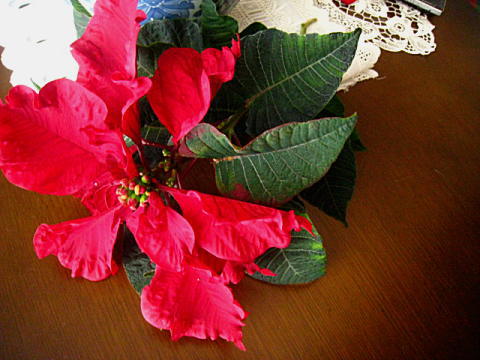d0046702_1354328.jpg