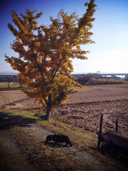 d0077603_10175721.jpg
