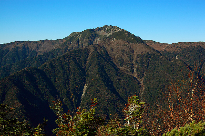 a0148606_1614124.jpg