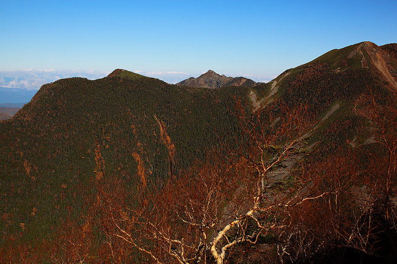 a0148606_16143486.jpg