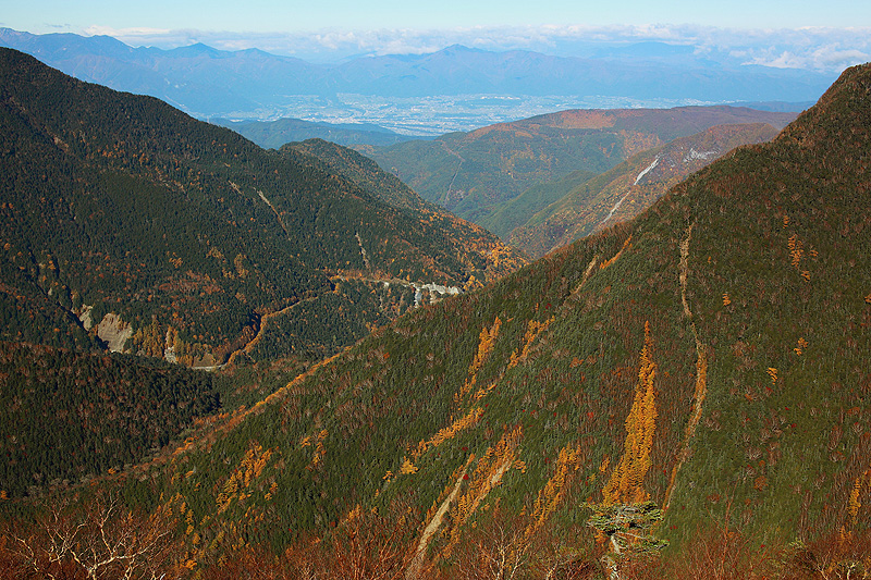 a0148606_16145144.jpg