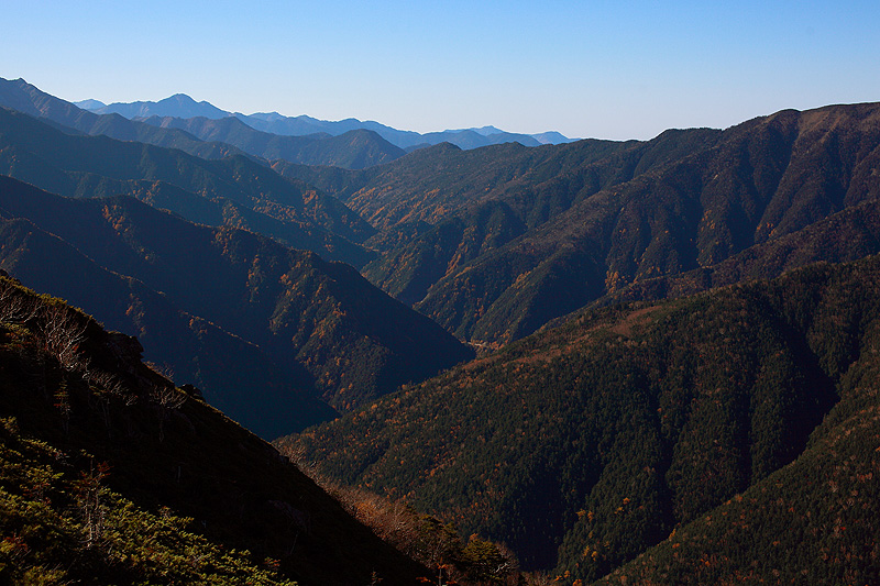 a0148606_1615854.jpg