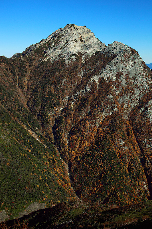 a0148606_1616169.jpg