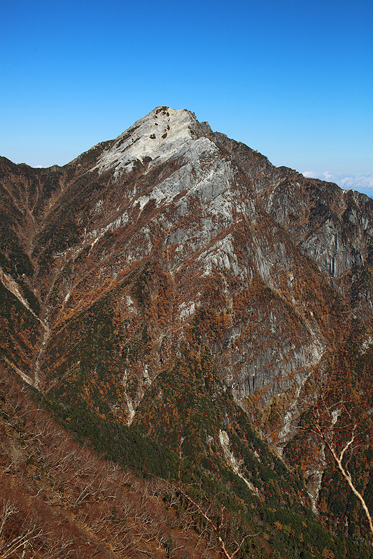 a0148606_1632590.jpg
