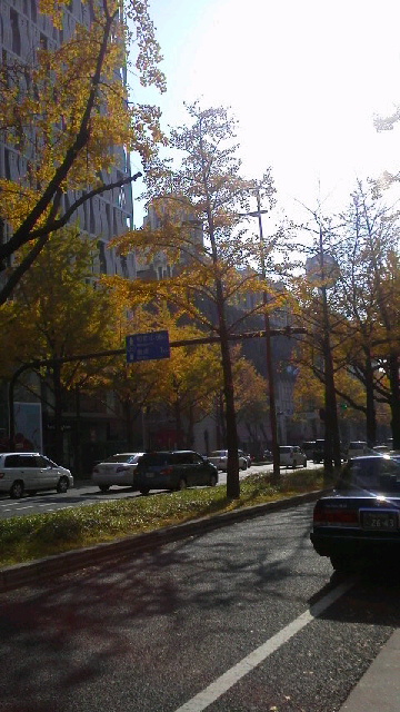 c0124908_99333.jpg
