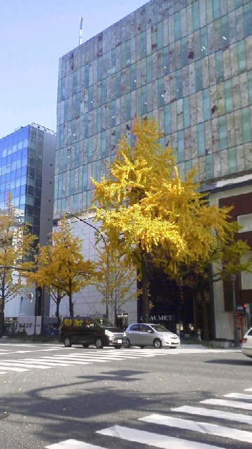 c0124908_99337.jpg