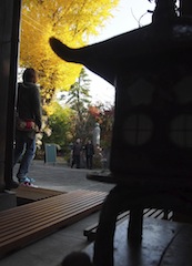 c0248013_1714870.jpg
