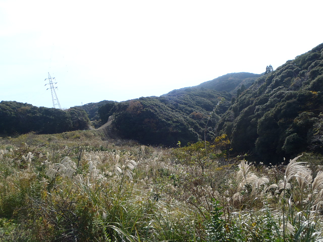 c0223419_190769.jpg