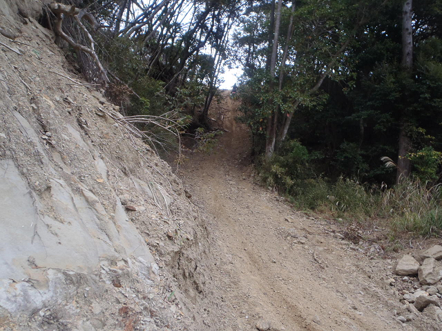 c0223419_19315732.jpg