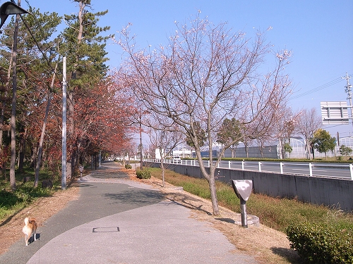 b0225620_783755.jpg