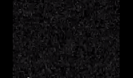 c0006425_03001675.png