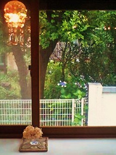 e0189225_1704890.jpg