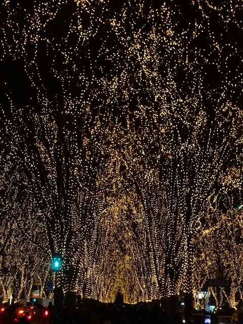 e0145328_2049488.jpg